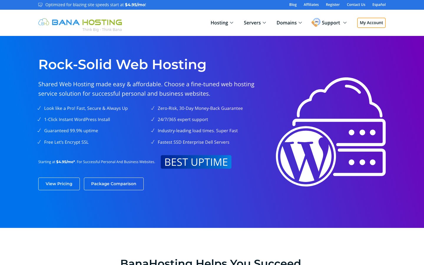 BanaHosting public page captured in a desktop browser