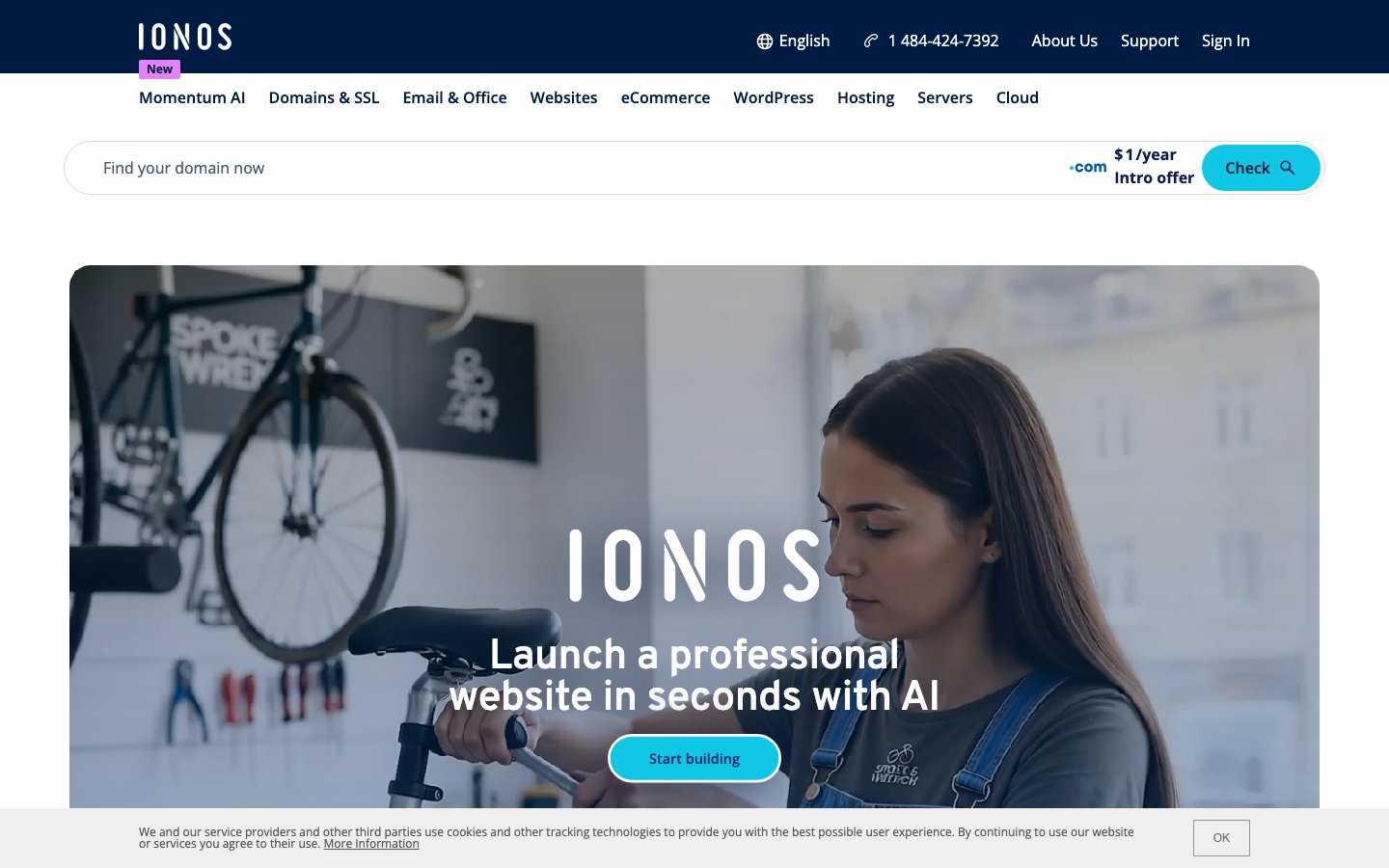 IONOS public page captured in a desktop browser