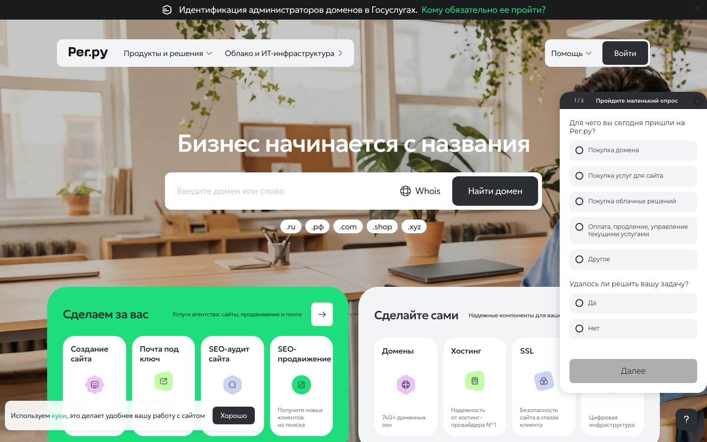 REG.RU public page captured in a desktop browser