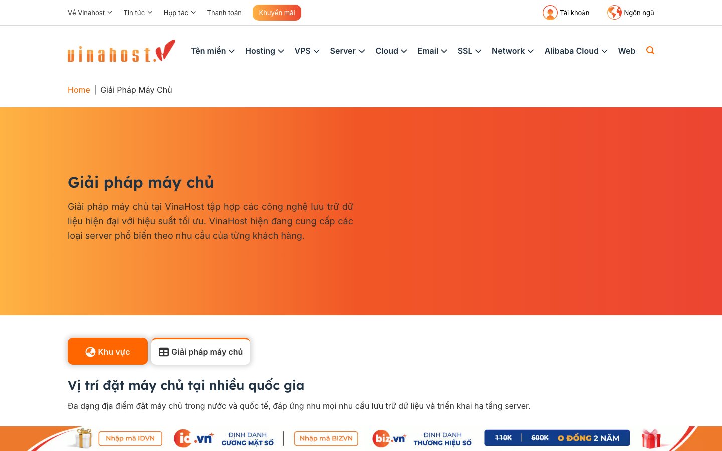 VinaHost public page captured in a desktop browser