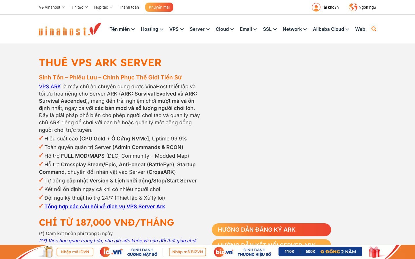 VinaHost public page captured in a desktop browser
