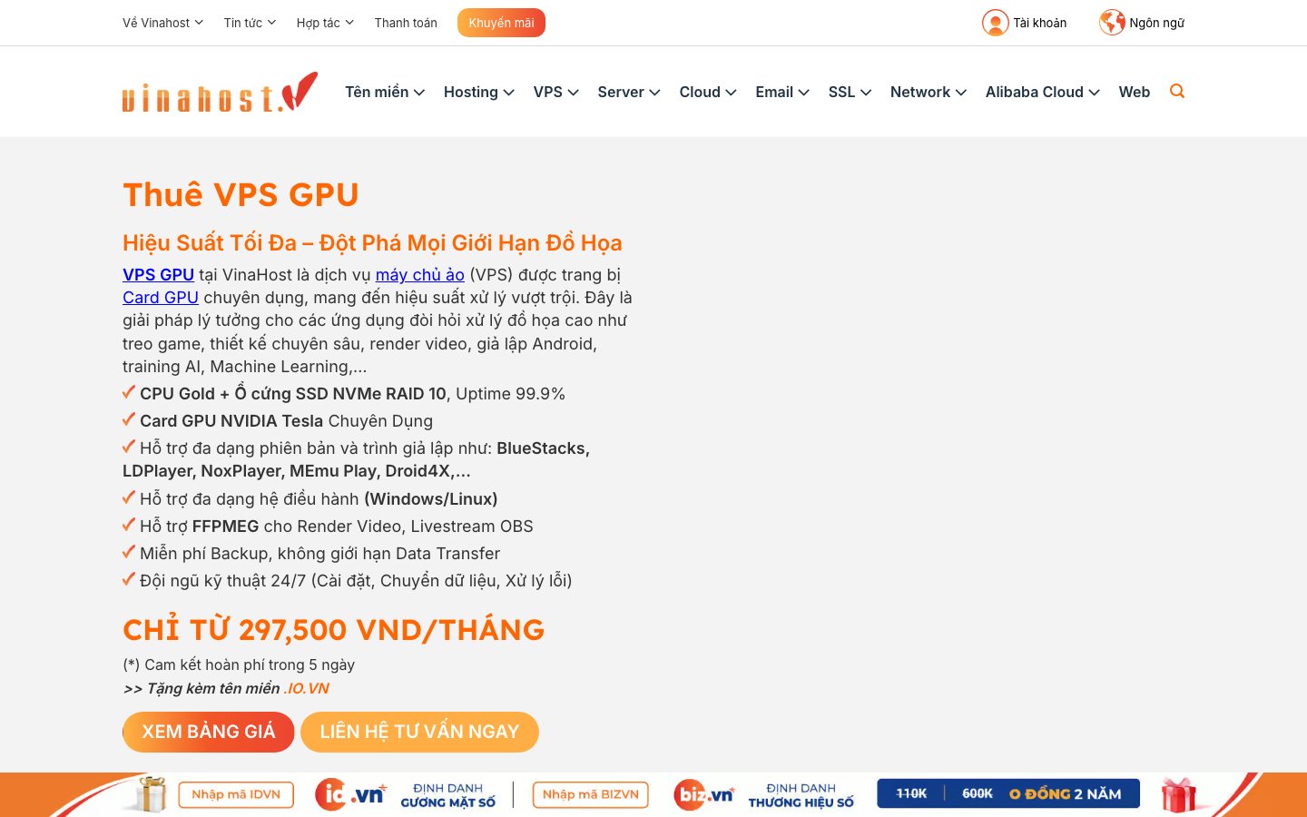 VinaHost public page captured in a desktop browser