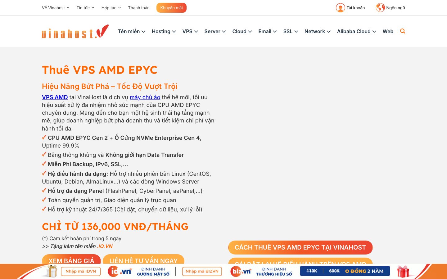 VinaHost public page captured in a desktop browser