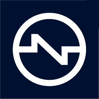 Netsons logo